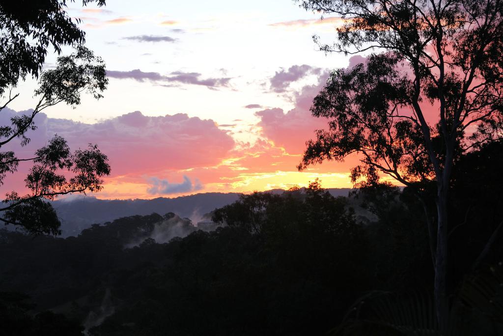 Phoenix Eumundi Exteriér fotografie